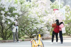 不调休！南开大学发布放假通知图片