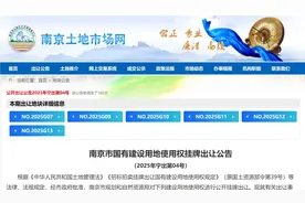南京新挂6幅地，雨核、南部新城时隔一年再上新图片