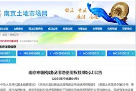 南京新挂6幅地，雨核、南部新城时隔一年再上新图片