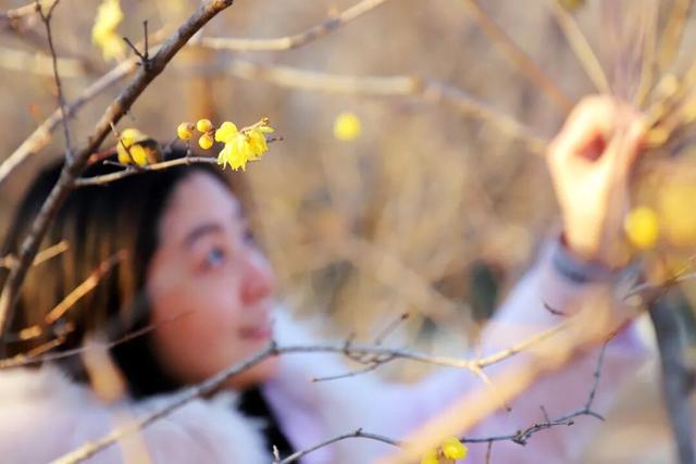 “Mei，我在连云港想开了！”