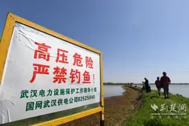高压线下禁止垂钓！国网武汉供电公司春季特巡严防钓鱼触电图片