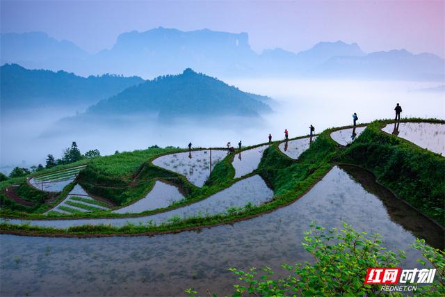 “森”呼吸·清凉“界”丨张家界堡子界：登界顶望天门，在2.6万亩林海里乘凉