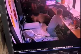 棕熊凌晨扒门进酒店觅食，老板：街上还有两三头图片