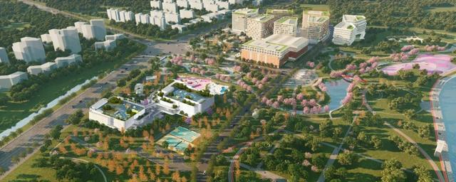 跨三区！嘉定再添24小时开放滨河综合公园！建成时间→
