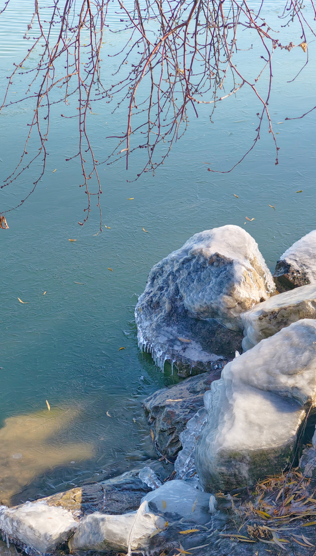 冬日颐和园：昆明湖冰裹树枝，宛如水晶雕塑