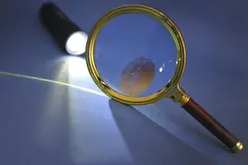 一周打下两“虎”，春节前反腐不停步图片