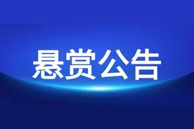 天津市津南区人民法院悬赏公告图片