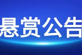 天津市津南区人民法院悬赏公告图片