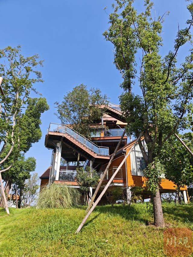 成都金堂：卖橘子，更要卖风景
