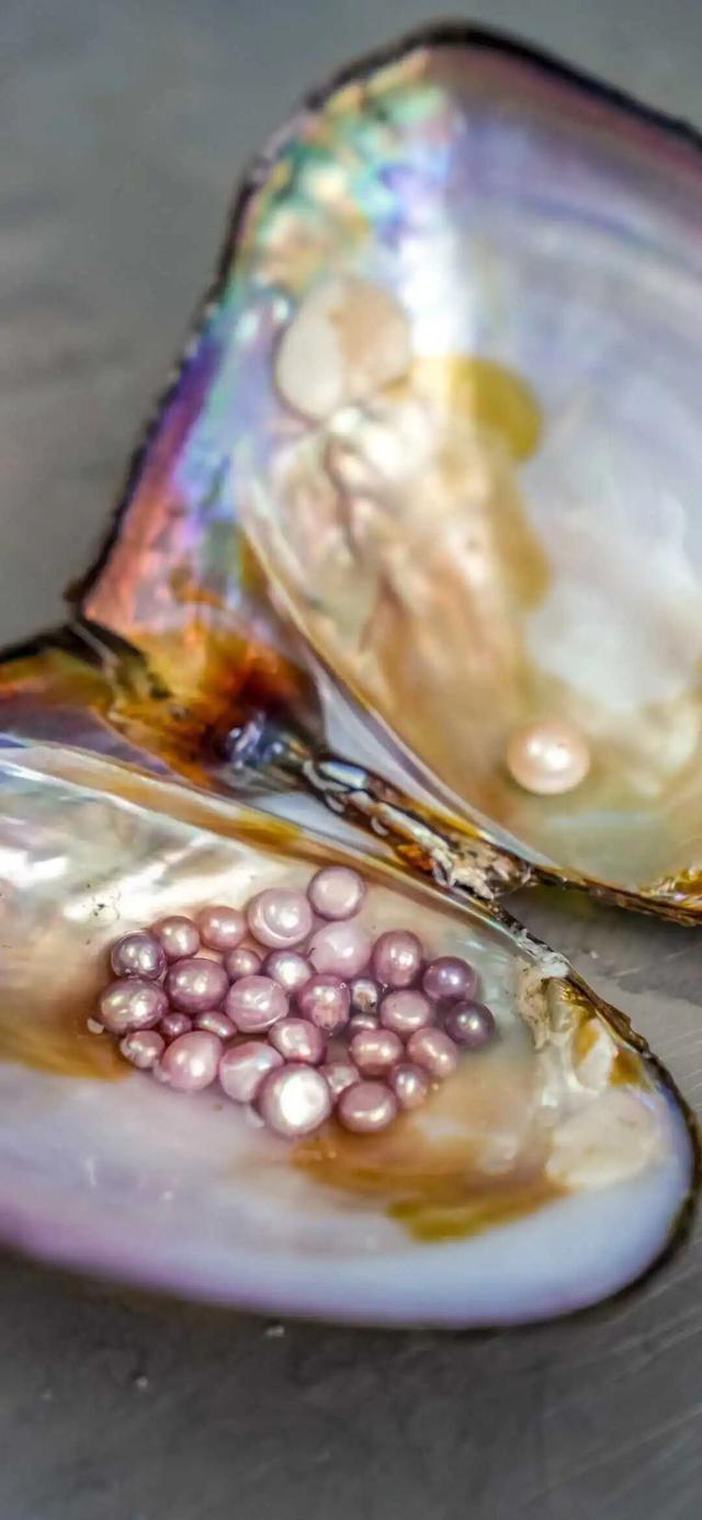 跟着浙BA游诸暨，一起山水探秋、珍珠淘货、古村逛吃