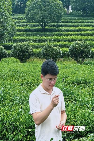 长沙县盲盒计划 | 诗与“附近”的小众漫游指南
