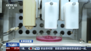 耳朵、骨骼、心脏……探秘神奇的"生物打印"