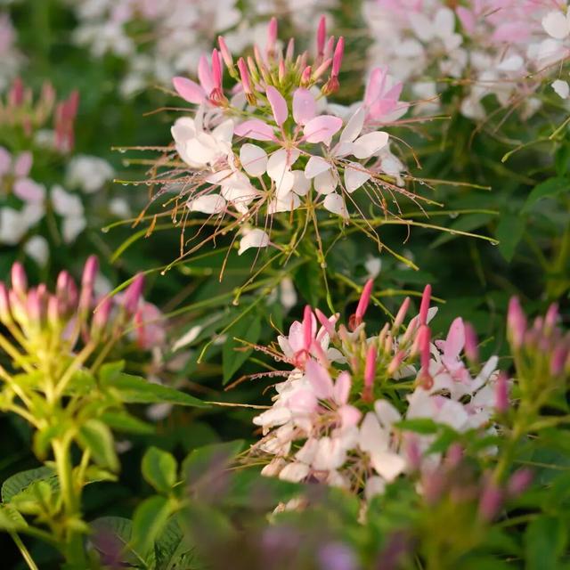 来了来了！龙虎山景点朋友圈第二季，比上一季更会“发”了！