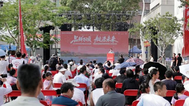 “艇”进未来，万顷沙镇水乡文化季圆满收官！
