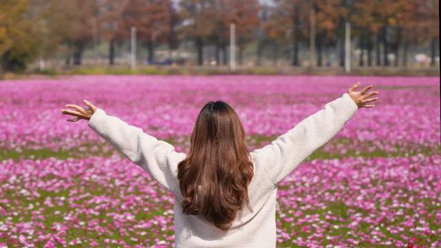 千万粉丝博主打卡中山花海：好美！