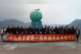 科技赋能 助“李”发展！镇宁自治县开展蜂糖李技术培训会图片