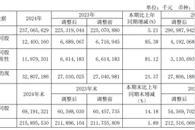 中国铝业2024年净利润124亿元，同比增长85％图片
