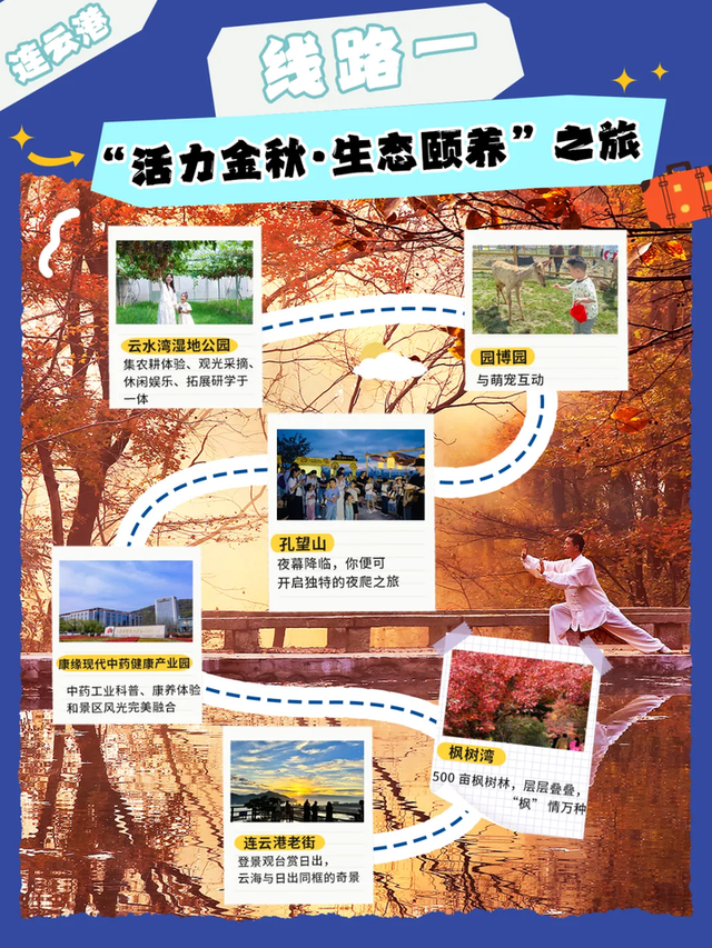 赶海、赏菊、品蟹……这10条乡村旅游线路玩出不一样的“秋”
