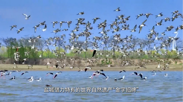 “苏超”战火燃遍十三座城市！还有哪个你没打卡过？速来→