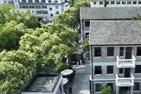 下足“绣花”功夫呵护城市记忆 解锁古建筑重焕生机“秘诀”图片