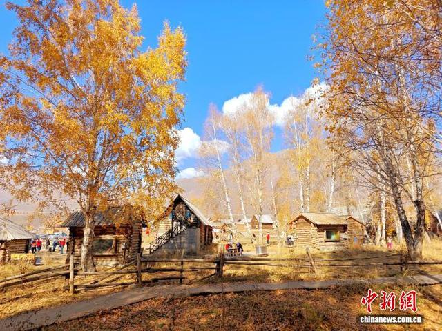 游客变创客 新疆老村“圈粉”年轻人