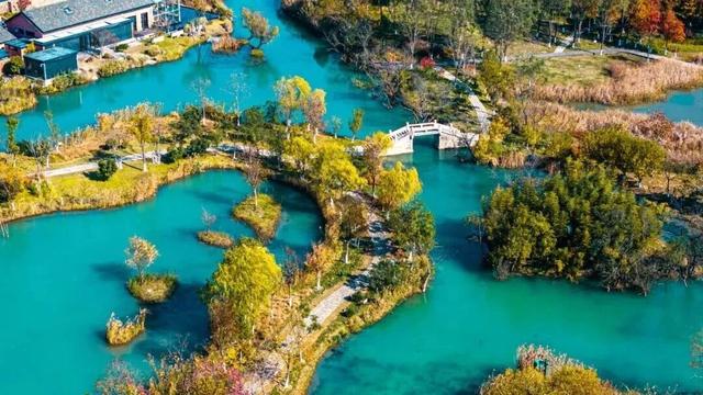 免费！上虞中小学生秋假福利来了