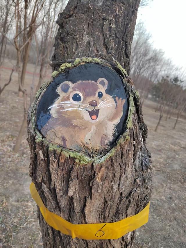 南苑森林湿地公园老树洞“活”了！松鼠卡皮巴拉探头迎客