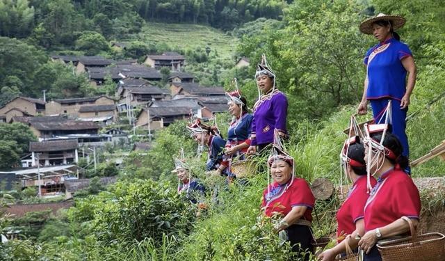 晚潮｜畲寨郑坑：秘境里的“畲族活态博物馆”
