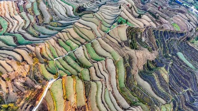 重庆酉阳：霜落梯田 晨景如画