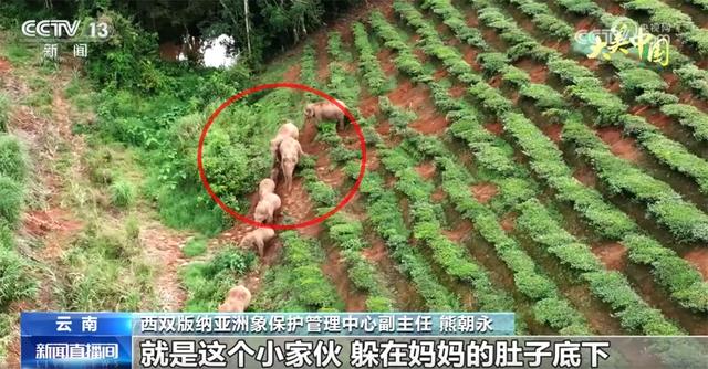 点“绿”成金让生态“颜值”变为文旅“价值” 夏日经济迸发新活力