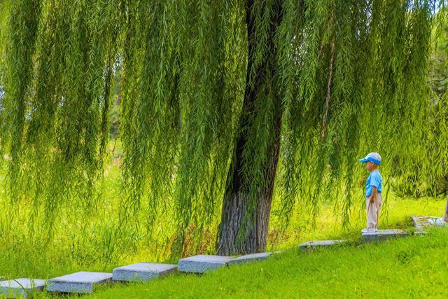 北京房山刺猬河：水清岸绿，生机盎然
