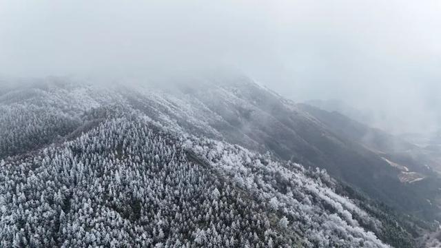 多图直击融水雾凇美景