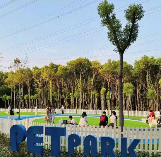 新一批宠物友好公园上线 上海踏秋遛宠增好去处