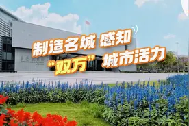 视频｜在东莞展览馆，将“微旅行”玩出“深度游”图片