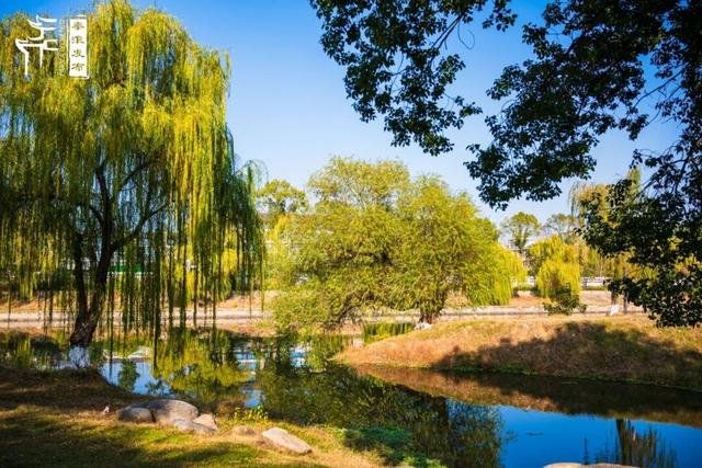 秦淮citywalk｜七桥瓮湿地公园