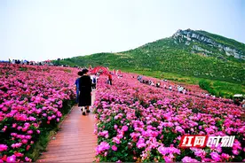 珍爱土地 湖南行动丨“世界锑都”锡矿山的绿色“蝶变”图片