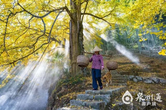 巨出片！趁现在，来泉州追一场秋……