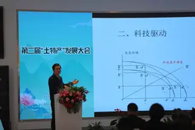 平谷举办“土特产”大会，樱桃、博士红薯等亮相图片