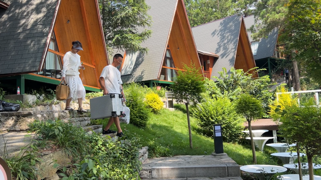 闲置荒地变避暑宝地 解锁茶园里的“清凉经济”
