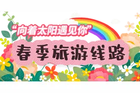 日照春日限定浪漫，花香茶香与星辰大海都给你！图片