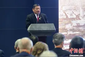 陈海泉：新加坡与海南的合作具有良好协同效应图片