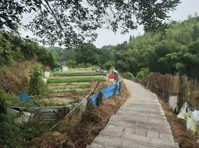 提升改造！晋安状元岭，大变样！