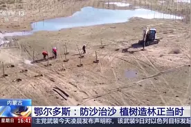 防沙治沙效果如何？鄂尔多斯交出成绩单→图片