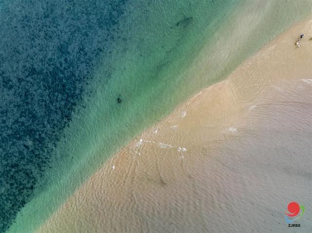超有料这才是湛江古今玩法的舒适区~