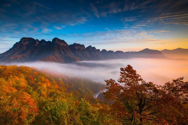 我把红叶寄给你｜中国科学院植物研究所副研究员于顺利：香山光雾山是红叶“最强CP”