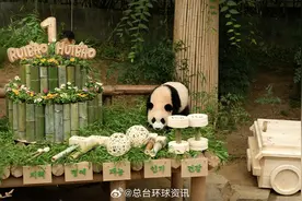 “睿宝”“辉宝”，生日快乐！图片