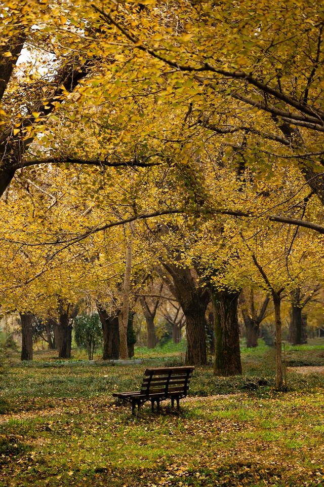 卷了一周的江浙沪白领,周末又去这个县城排队