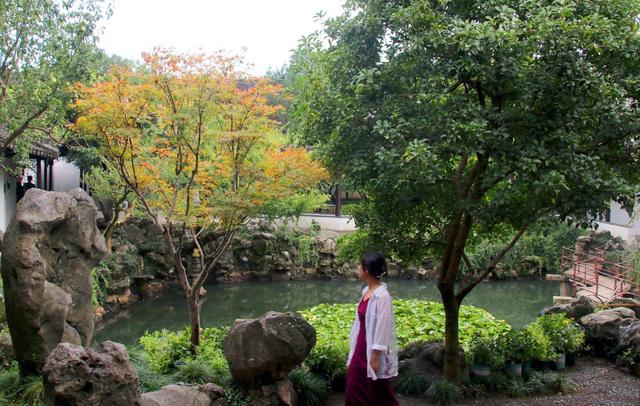 江苏苏州：古典园林怡园秋意浓
