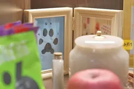 三名宠物殡葬师的自述：当死亡和爱相遇，做一名特殊的“摆渡人”图片