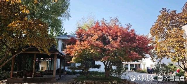 邂逅浪漫秋光，济南市多家公园景区秋色已备好